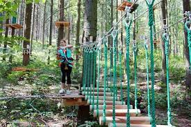 Your kids will have fun in the wire park climbing between the trees.
